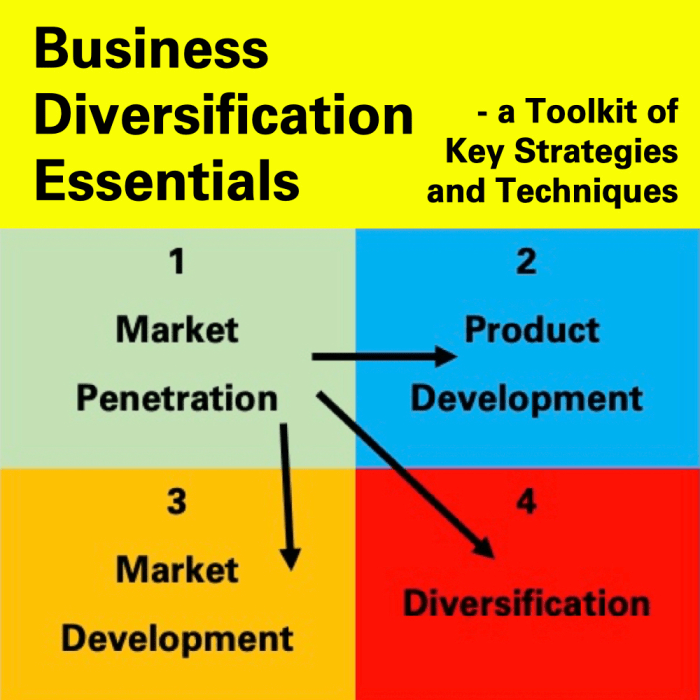 Diversification business toolkit strategies key essentials techniques successful rapid
